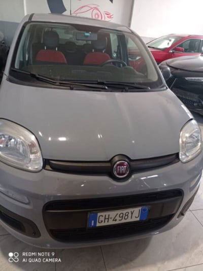 Fiat Panda 1.2 Easy usata
