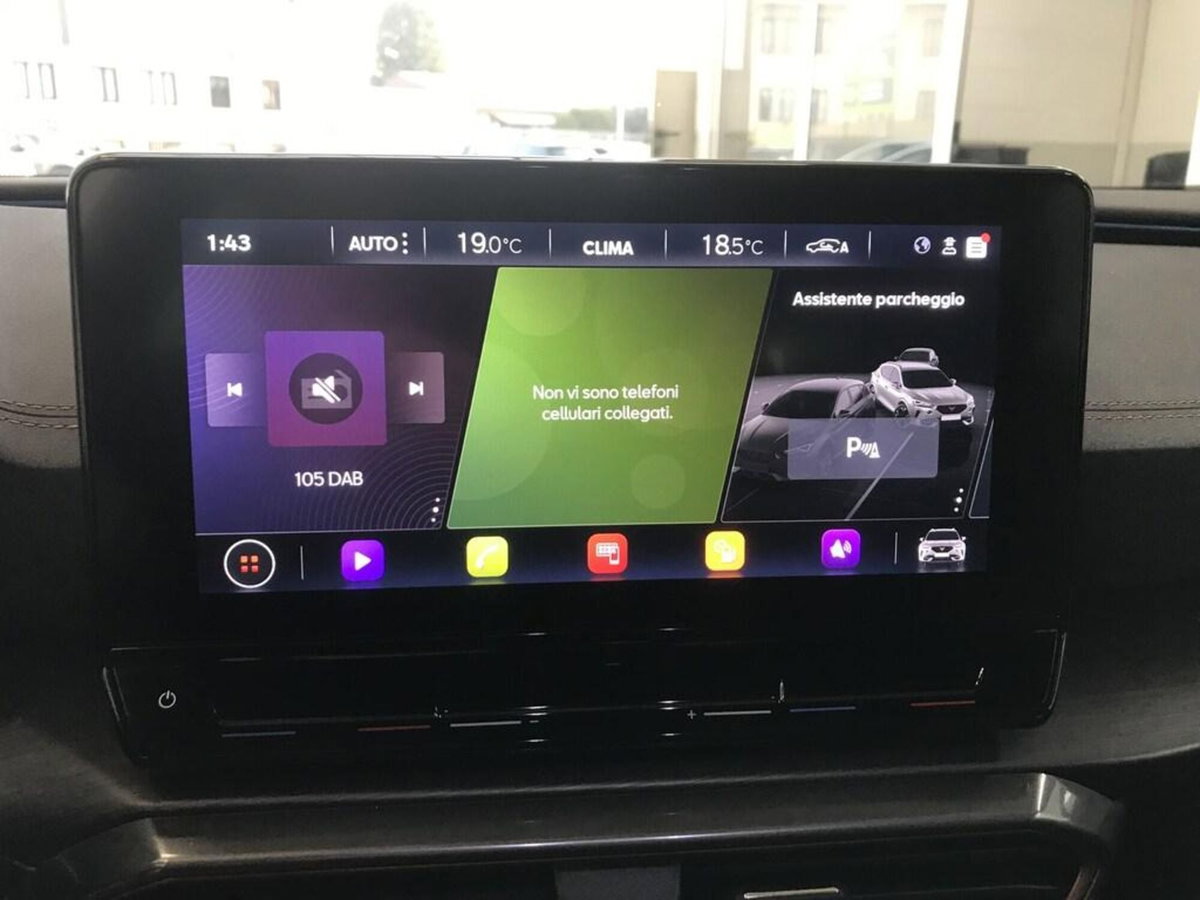 Cupra Formentor Formentor 2.0 TDI (14)