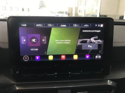 Cupra Formentor Formentor 2.0 TDI (14)