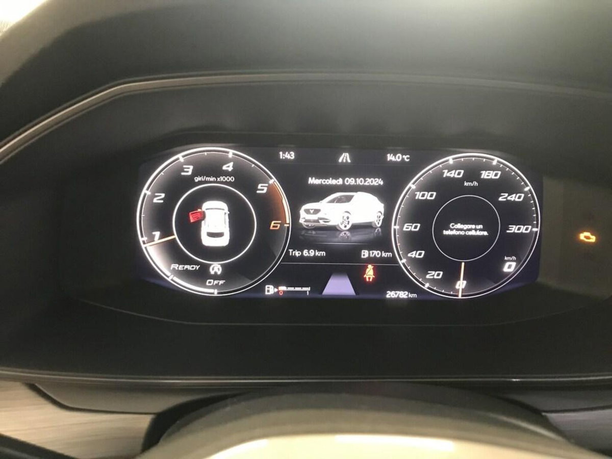 Cupra Formentor Formentor 2.0 TDI (15)