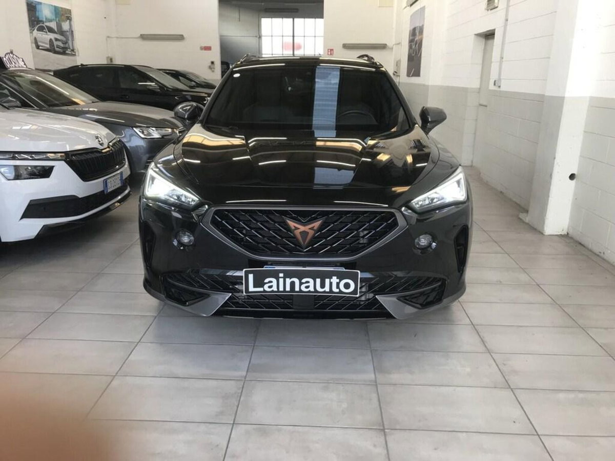 Cupra Formentor Formentor 2.0 TDI (2)