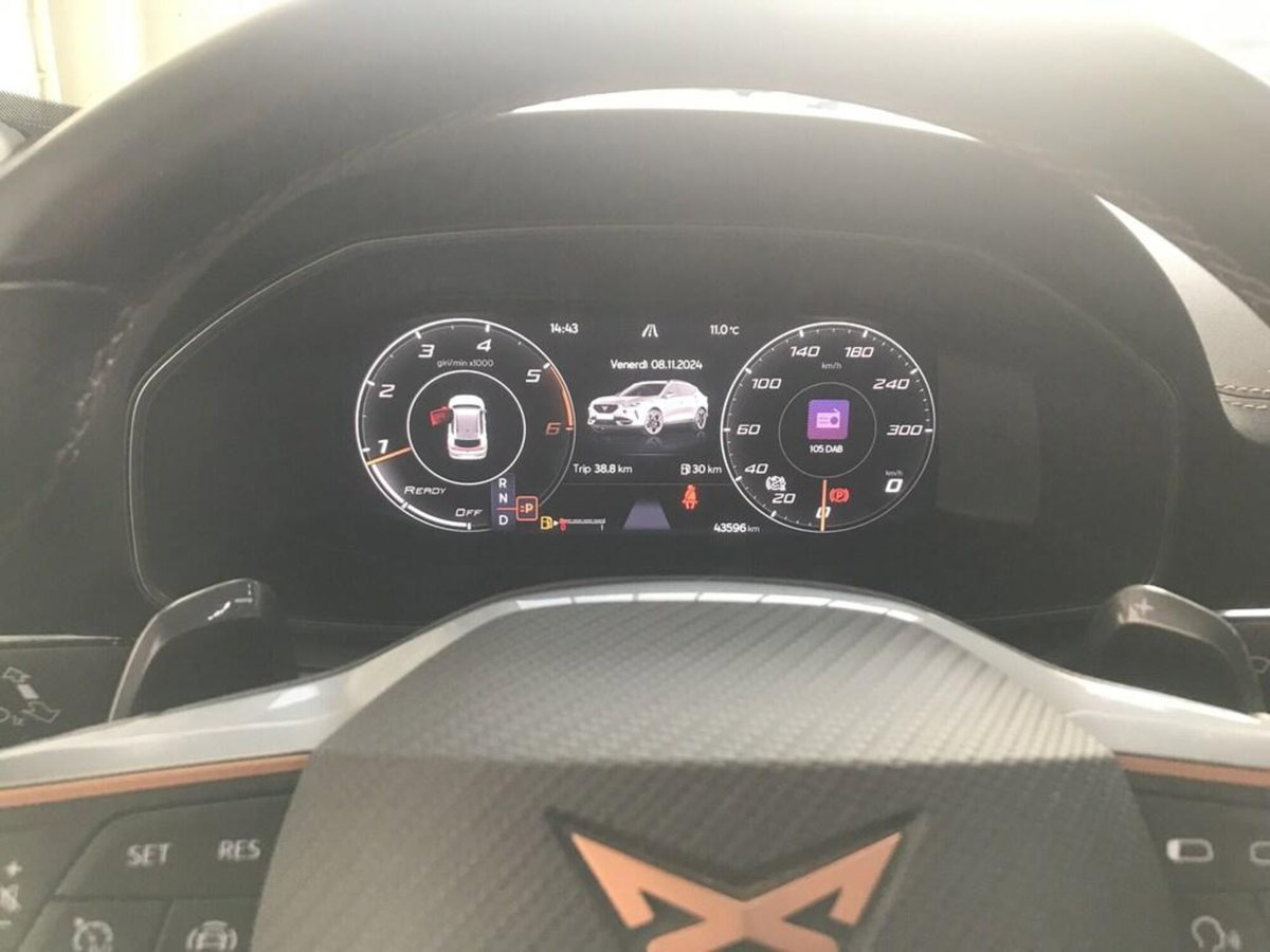Cupra Formentor Formentor 2.0 tdi 4drive 150cv dsg (14)