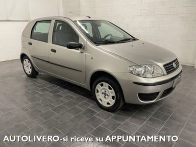 Fiat Punto 1.2 5 porte Actual usata