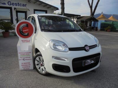 Fiat Panda 1.2 Pop usata