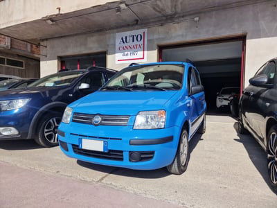 Fiat Panda 1.2 Dynamic usata
