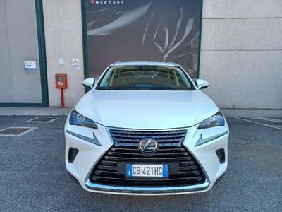 Lexus NX Hybrid 4WD Premium usata