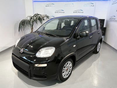 Fiat Panda 1.0 FireFly S&S Hybrid City Cross nuova