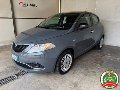 Lancia Ypsilon 1.2 69 CV 5 porte Platinum usata