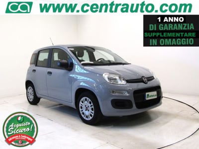 Fiat Panda 1.2 Easy usata