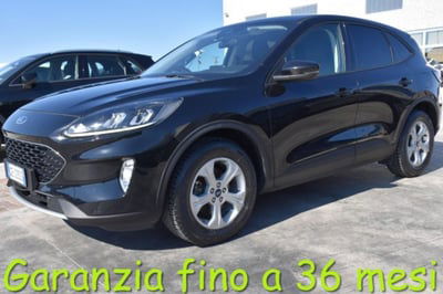 Ford Kuga 1.5 EcoBlue 120 CV aut. 2WD usata