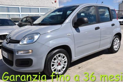 Fiat Panda 1.2 Easy usata
