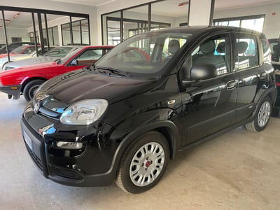 Fiat Panda 1.0 FireFly S&S Hybrid usata