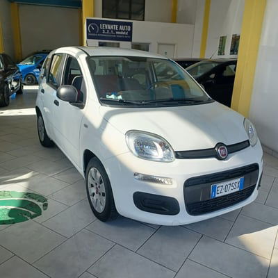 Fiat Panda 1.2 Easy usata