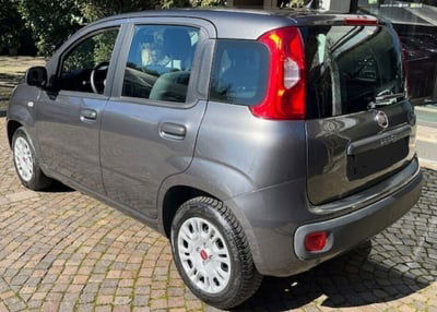 Fiat Panda 1.2 Lounge usata