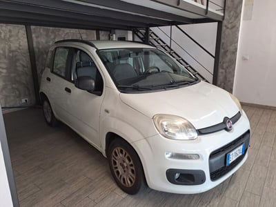 Fiat Panda 1.3 MJT S&S Easy usata