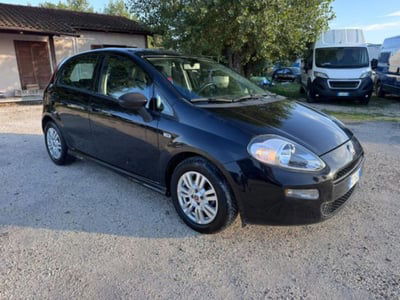 Fiat Punto 1.3 MJT II S&S 85 CV 5 porte ECO Easy usata
