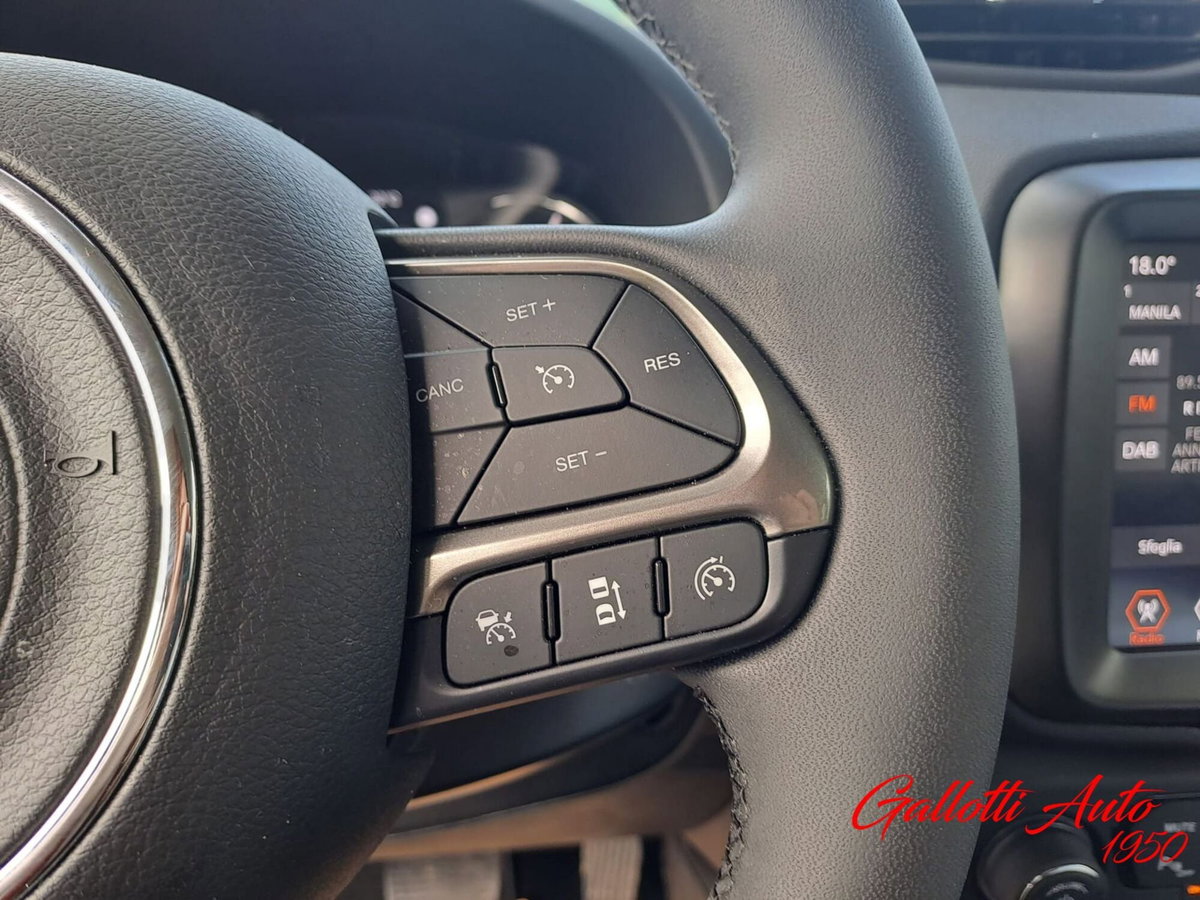 Jeep Renegade 1.3 t4 phev Trailhawk 4xe at6 (18)
