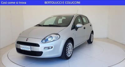 Fiat Punto 1.3 MJT II 75 CV 5 porte Easy usata