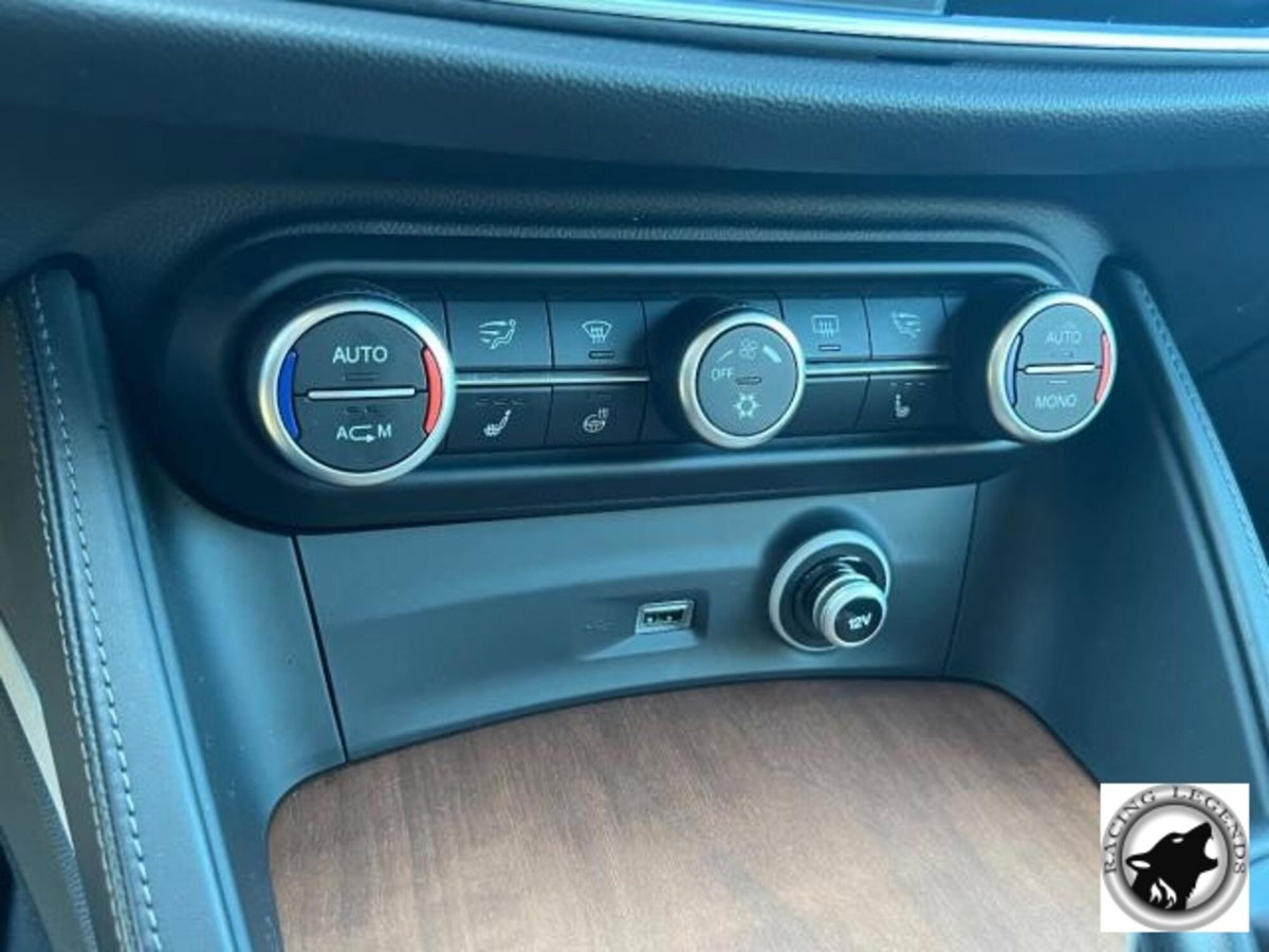 Alfa Romeo Stelvio Stelvio 2.0 Turbo 280 CV AT8 Q4 Super (19)