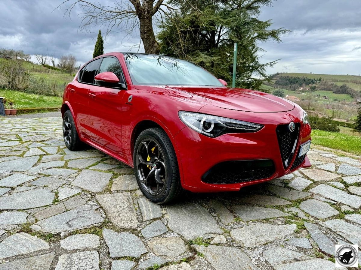 Alfa Romeo Stelvio Stelvio 2.0 Turbo 280 CV AT8 Q4 Super (2)