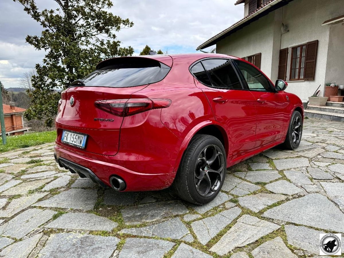 Alfa Romeo Stelvio Stelvio 2.0 Turbo 280 CV AT8 Q4 Super (6)