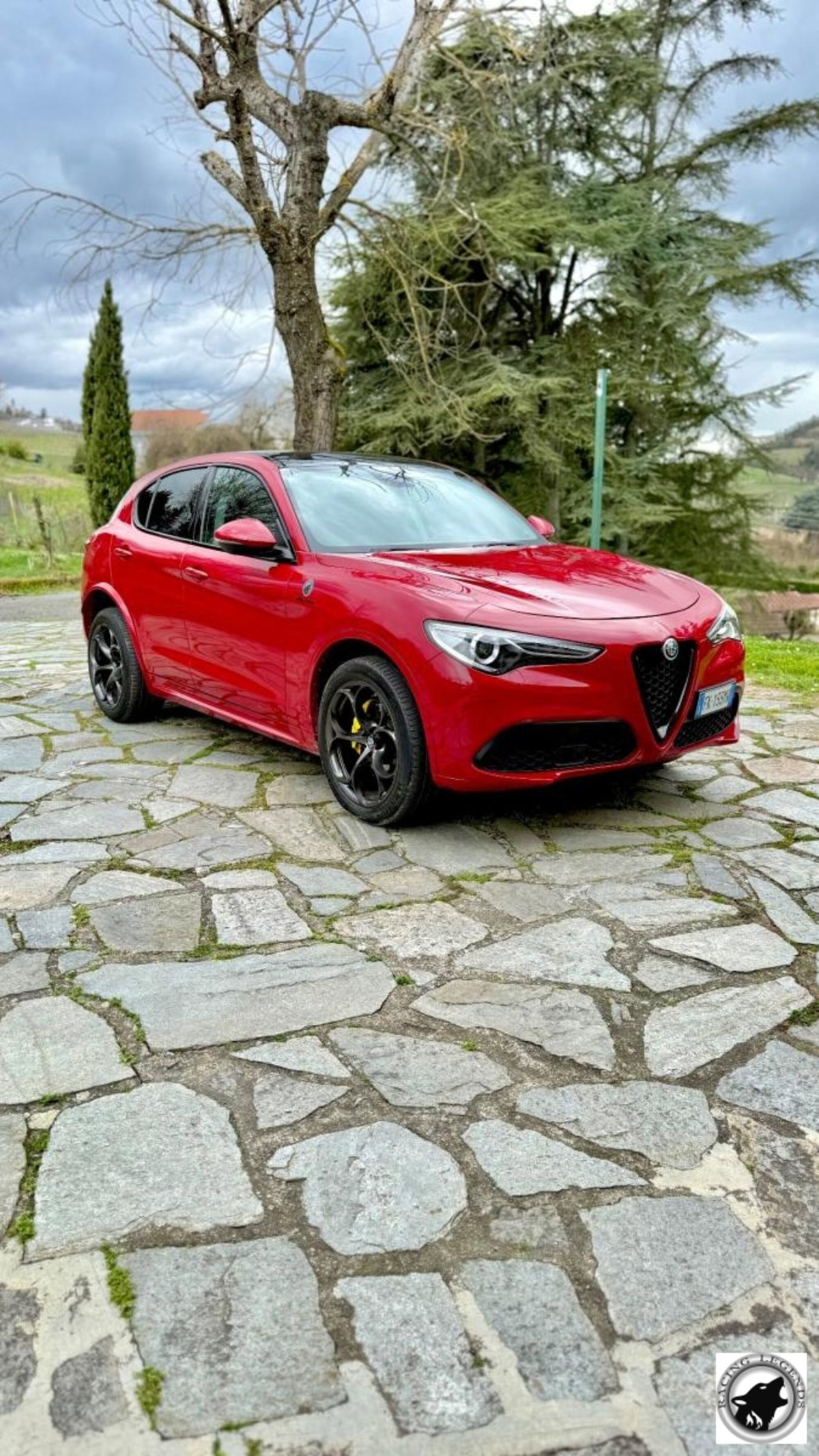 Alfa Romeo Stelvio Stelvio 2.0 Turbo 280 CV AT8 Q4 Super (7)