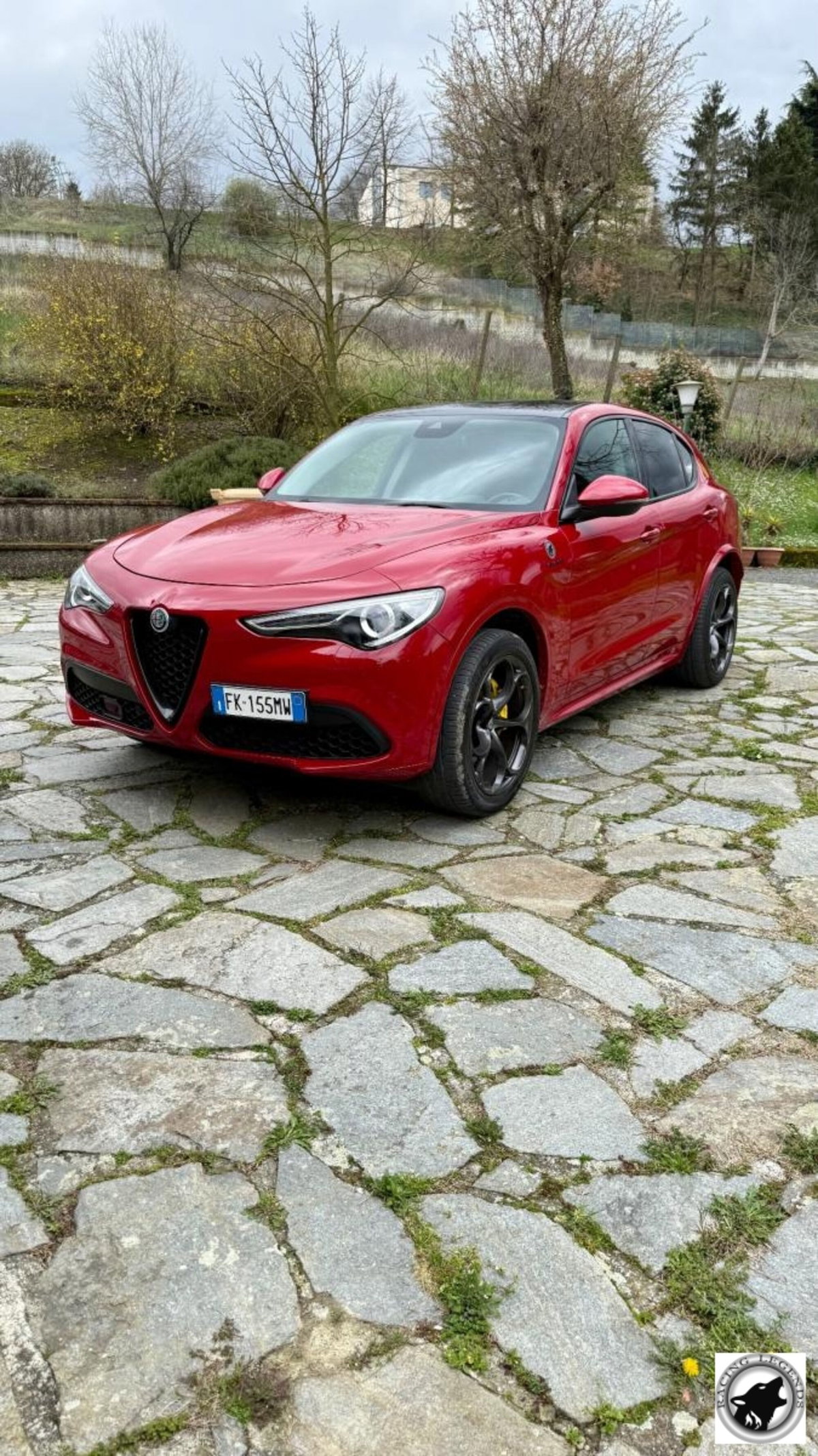 Alfa Romeo Stelvio Stelvio 2.0 Turbo 280 CV AT8 Q4 Super (8)