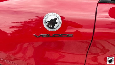 Alfa Romeo Stelvio Stelvio 2.0 Turbo 280 CV AT8 Q4 Super (9)