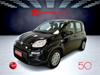 Fiat Panda 1.0 firefly hybrid s&s 70cv 5p.ti nuova