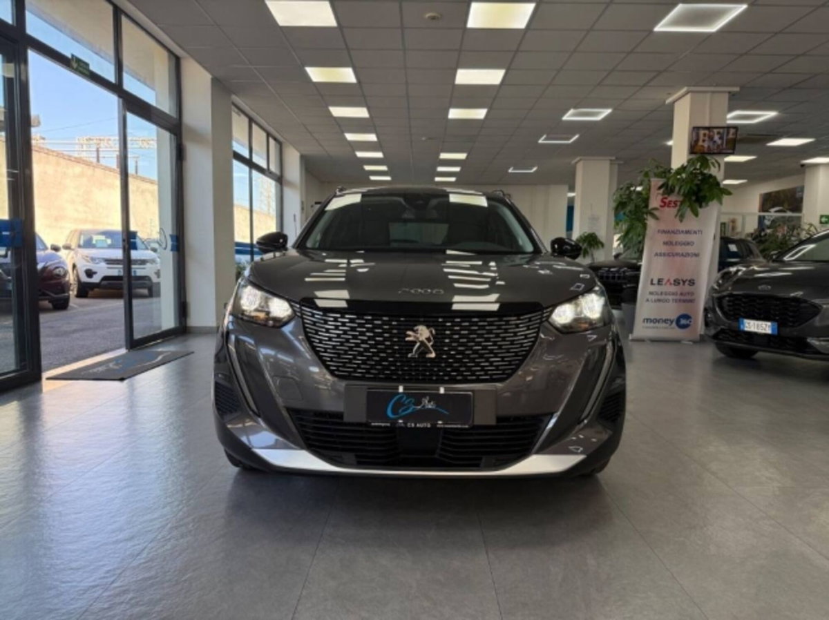 Peugeot 2008 BlueHDi 110 S&S Active (2)