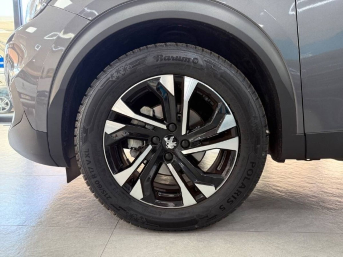 Peugeot 2008 BlueHDi 110 S&S Active (8)