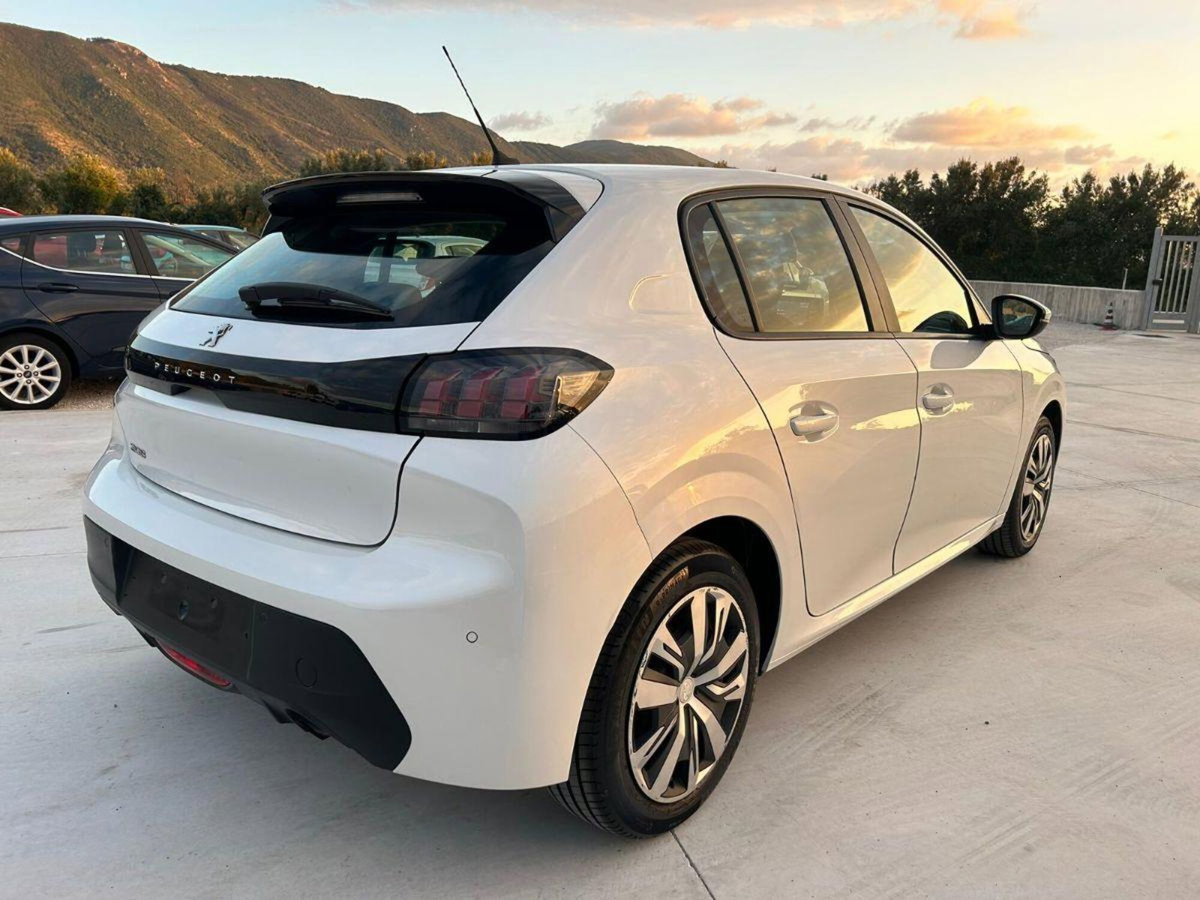 Peugeot 208 PureTech 75 Stop&Start 5 porte Active (5)