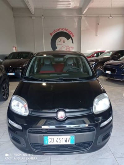 Fiat Panda 1.2 Young usata