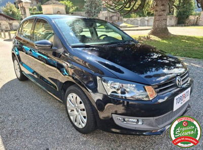 Volkswagen Polo 1.4 5 porte Comfortline usata