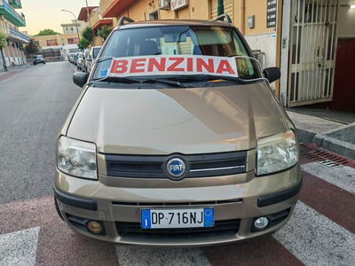 Fiat Panda 1.2 Dynamic Natural Power usata