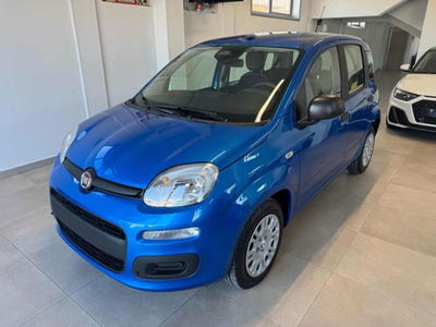 Fiat Panda 1.0 firefly hybrid s&s 70cv 5p.ti nuova