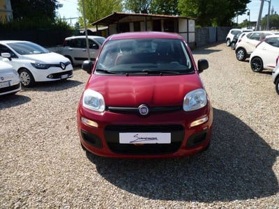 Fiat Panda 1.2 Easy usata