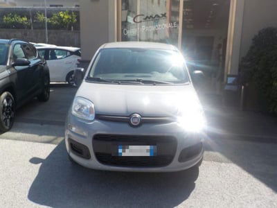 Fiat Panda 1.2 Easy usata
