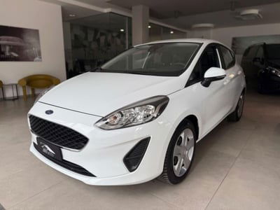 Ford Fiesta 1.1 5 porte Plus usata