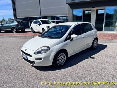 Fiat Punto 1.3 MJT II 75 CV 5 porte Street usata