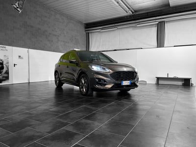 Ford Kuga 1.5 EcoBlue 120 CV aut. 2WD ST-Line X Design usata