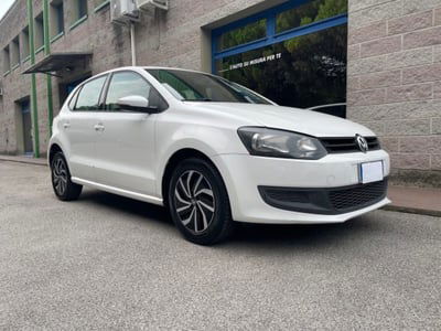 Volkswagen Polo 1.2 5 porte United usata