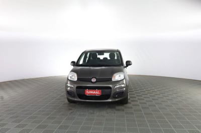 Fiat Panda Cross Cross 1.0 FireFly S&S Hybrid usata