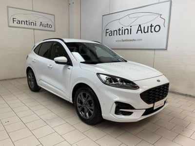 Ford Kuga 2.0 EcoBlue 120CV aut. AWD ST-Line X usata
