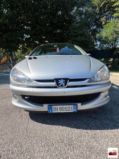 Peugeot 206 5p. Enfant Terrible usata