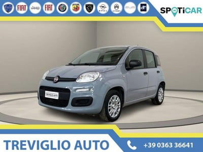 Fiat Panda 1.2 Easy usata