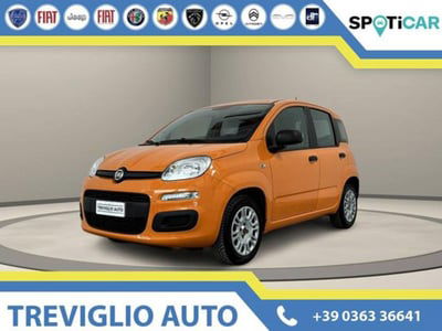 Fiat Panda 1.2 Easy usata