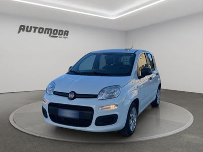Fiat Panda 1.3 MJT 4x4 Pop Van 2 posti usata