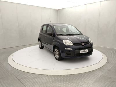 Fiat Panda 1.2 EasyPower Easy usata
