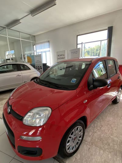 Fiat Panda 1.0 FireFly S&S Hybrid City Cross usata